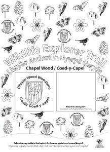 Wildlife Explorer Trails - Chapel wood Trail
