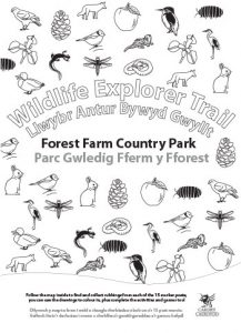 Wildlife Explorer Trails - Fforest Farm trail