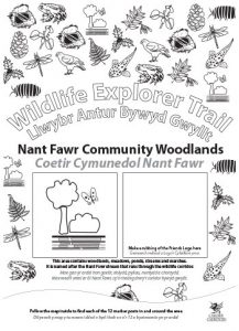Wildlife Explorer Trails - Nant Fawr