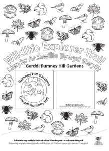 Wildlife Explorer Trails - Rumney Hill