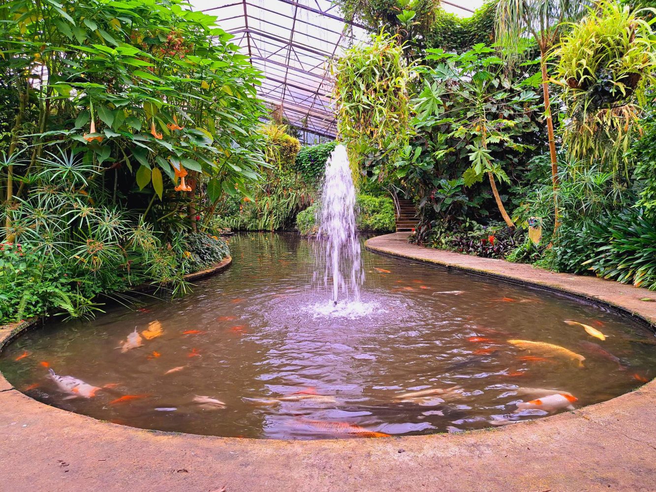 Roath Park conservatory