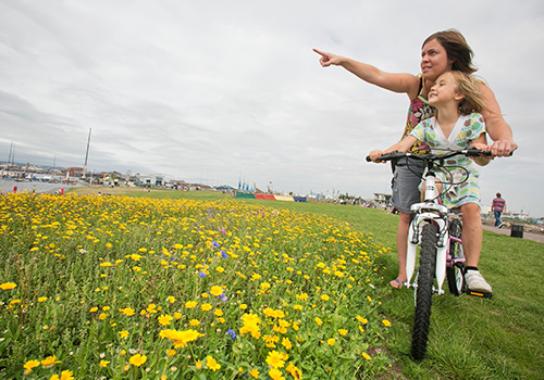 Family cycling on Cardiff Bay Barrage