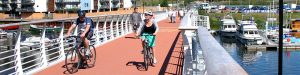Cycling Bay Trail Pont y Werin Bridge
