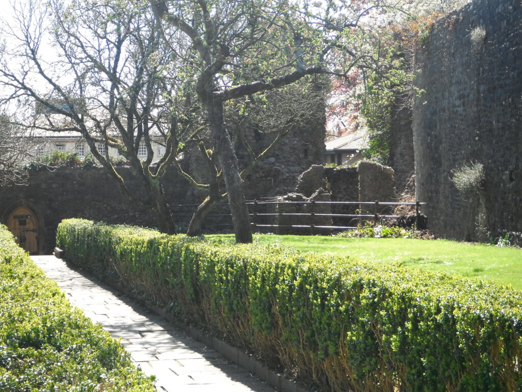 hedges and trees at Old Bishop's Palace