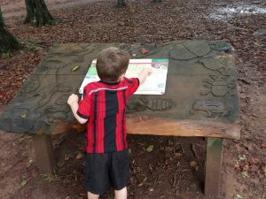 A child exploring the Fforest Fawr nature trail