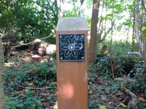 Flower trail post in Chapel wood