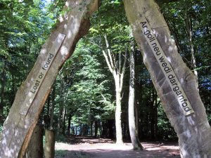 The Forest Fawr trail which is available to dowload from our Countryside Publications