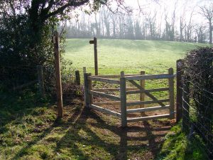 A gate on the Pentyrch trail