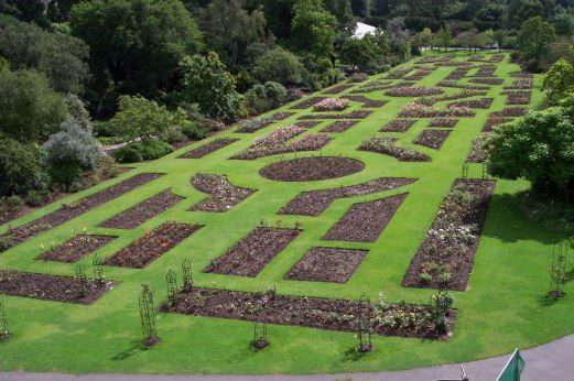 The rose garden from above, showing geometric flower beds with neatly cut grass