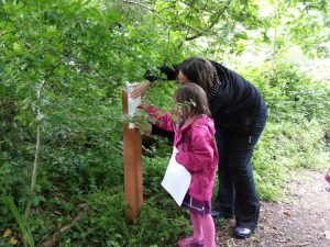 Find a wildlife trail with Outdoor Cardiff