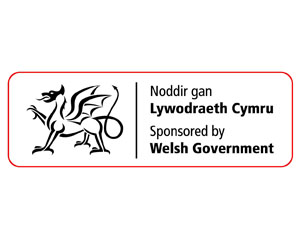 Welsh Assembly Government Logo