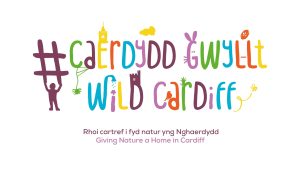 Wild about Cardiff logo