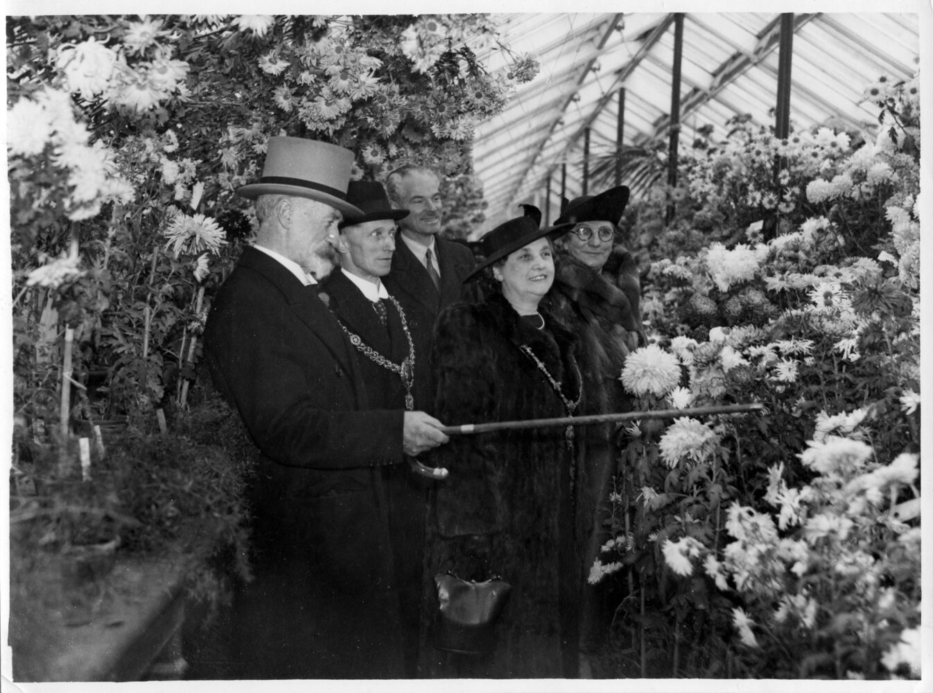 Historic photo of visitors to the Flower show in the Chrysanthemum house in Roath Park