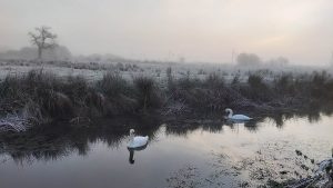 Frosty Hendre Lake
