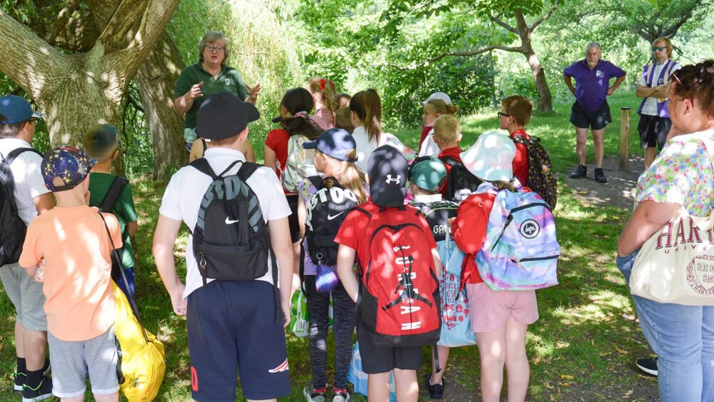 School group in a woodland activity
