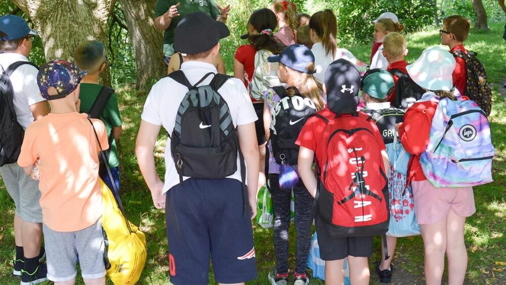 School group in a woodland activity