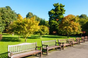Public Roath Park with a row of benches and beautiful trees during a sunny morning at the beginning of autumn.